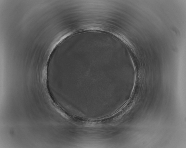 X0000113270790200910011427