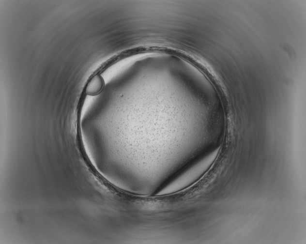 X0000113270791200910011427