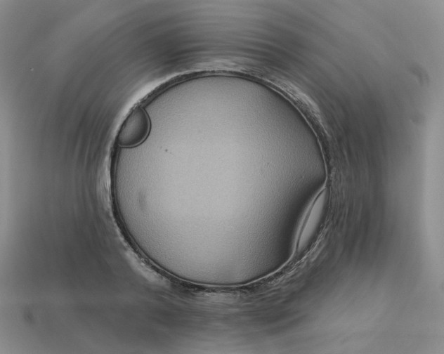 X0000113270792200910011427