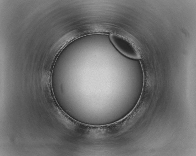 X0000113270793200910011427