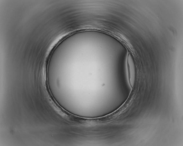 X0000113270796200910011427