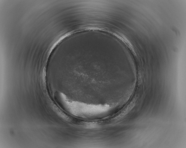 X0000113270798200910011427