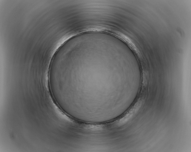 X0000113270802200910011427