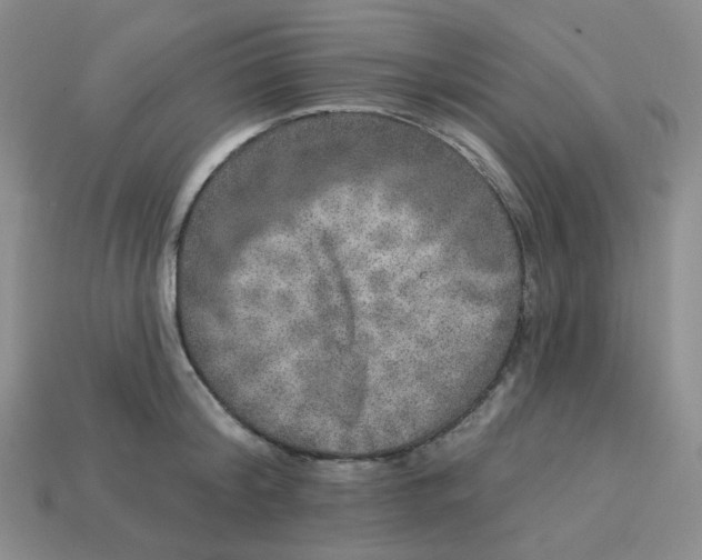 X0000113270804200910011427