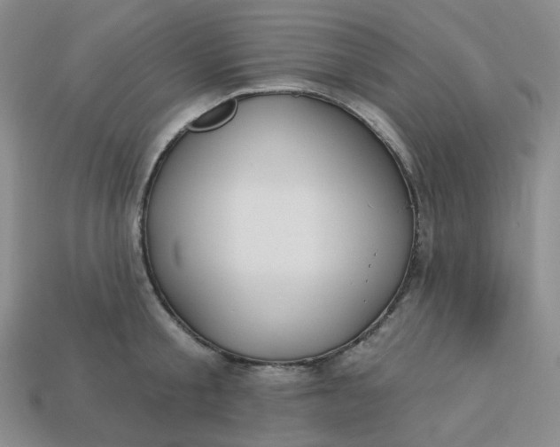 X0000113270805200910011427