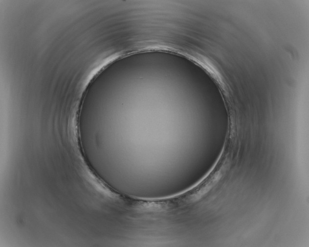 X0000113270806200910011427