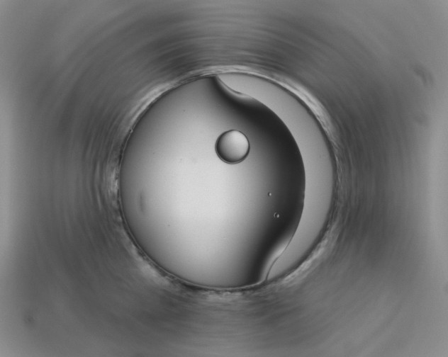 X0000113270809200910011427