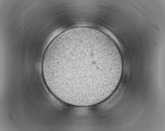 X0000113270810200910011427