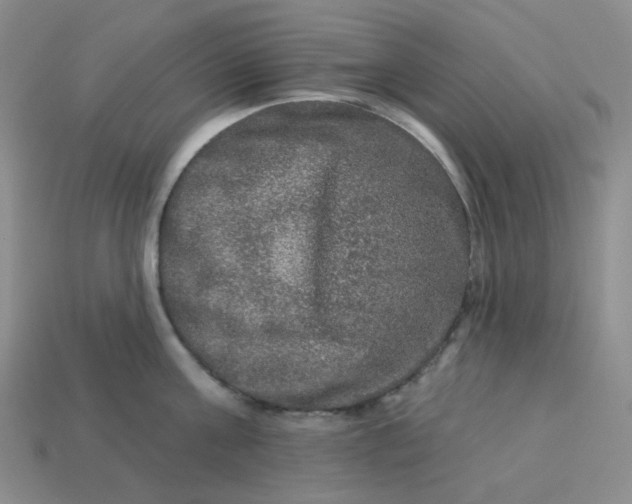 X0000113270811200910011427