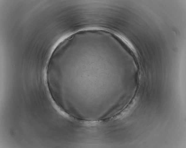 X0000113270813200910011426