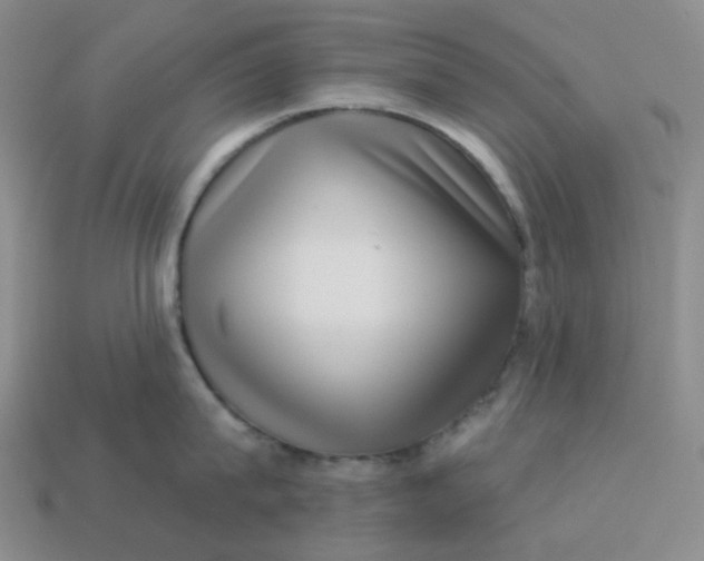 X0000113270815200910011426