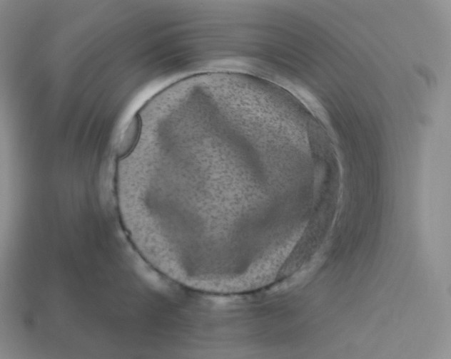 X0000113270816200910011426