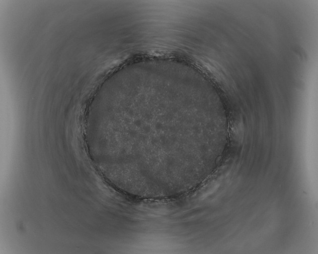 X0000113270817200910011426