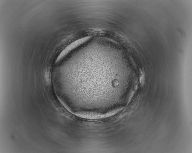 X0000113270819200910011426