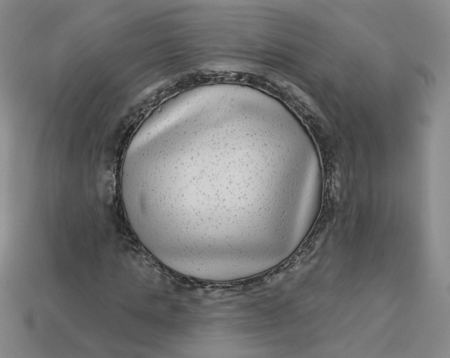 X0000113270821200910011426