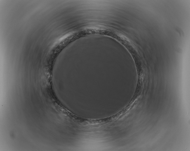 X0000113270822200910011426