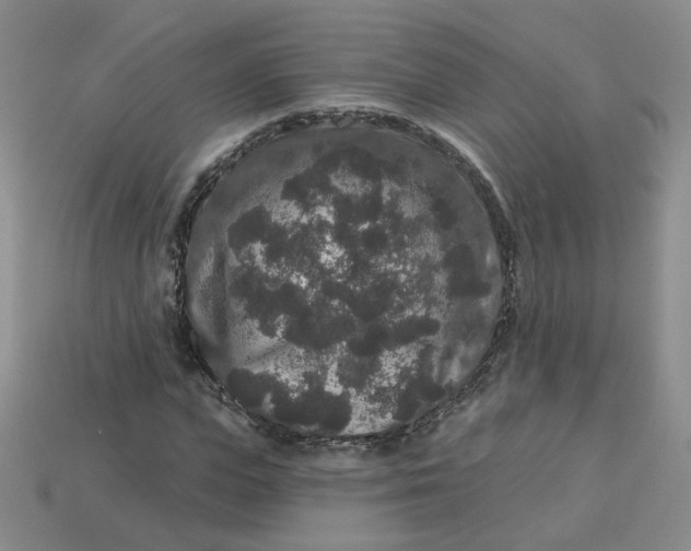 X0000113270823200910011426