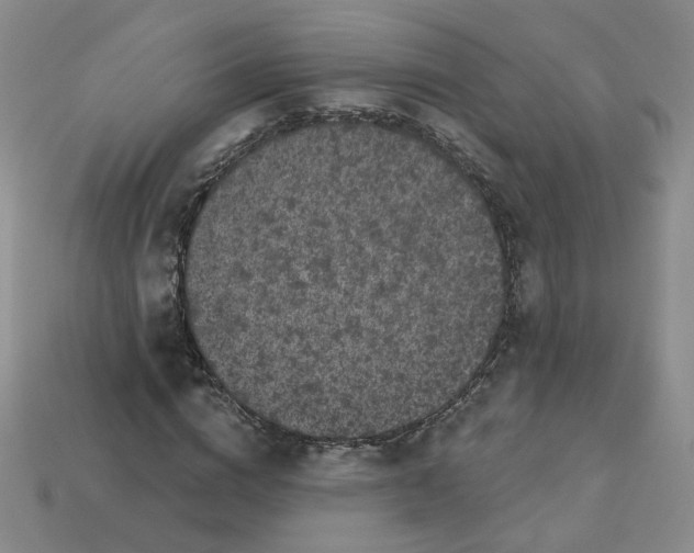 X0000113270824200910011426