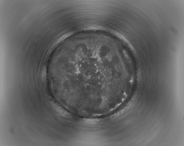 X0000113270825200910011426