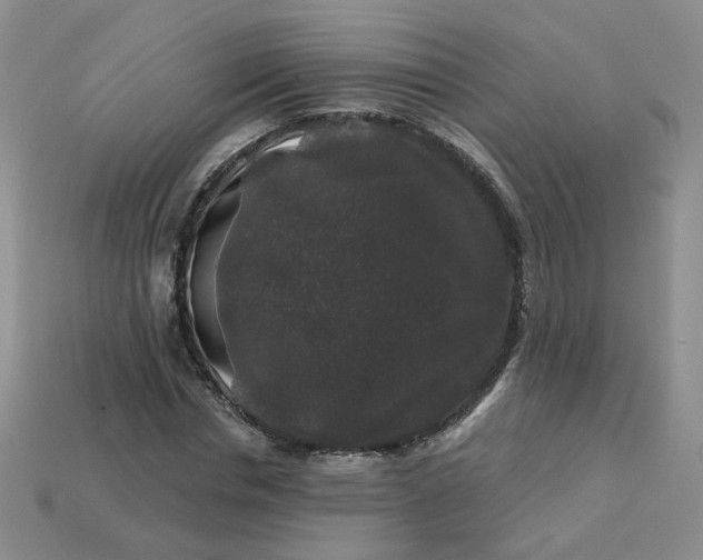 X0000113270826200910011426