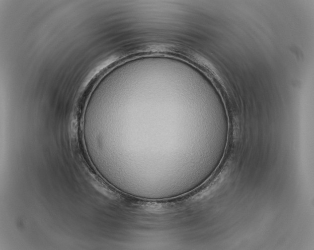 X0000113270827200910011426