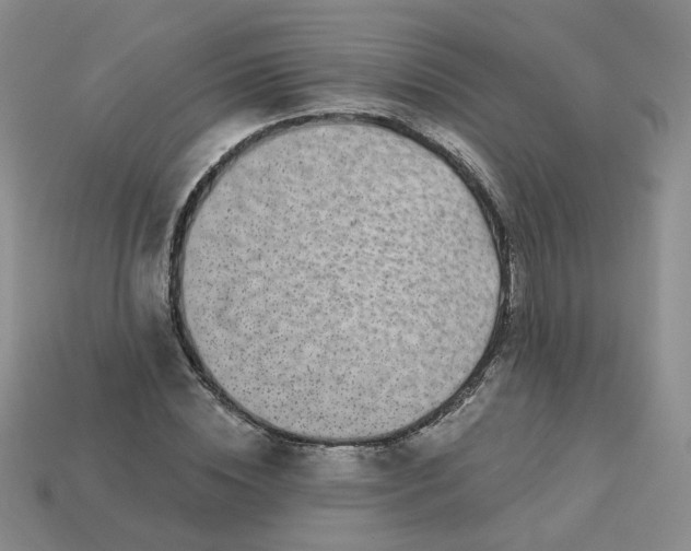 X0000113270828200910011426