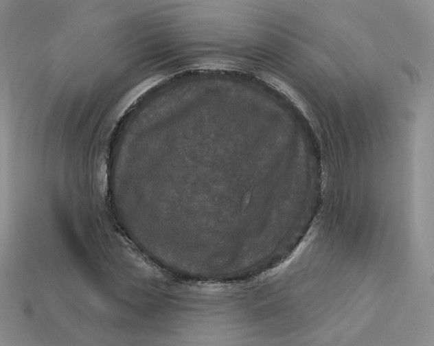 X0000113270829200910011426