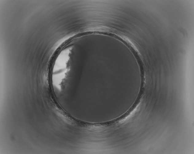 X0000113270830200910011426