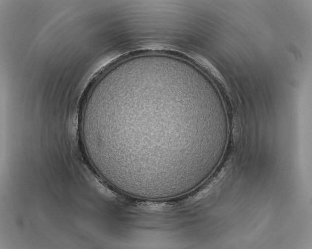 X0000113270831200910011426