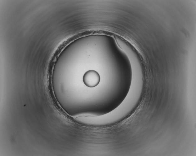 X0000113270832200910011426