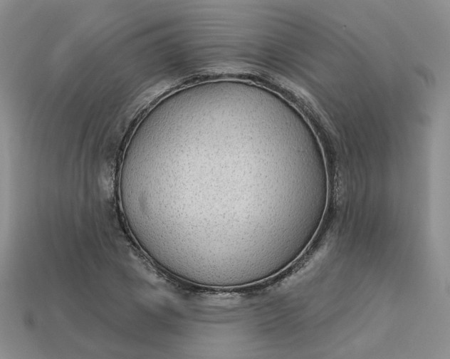 X0000113270833200910011426