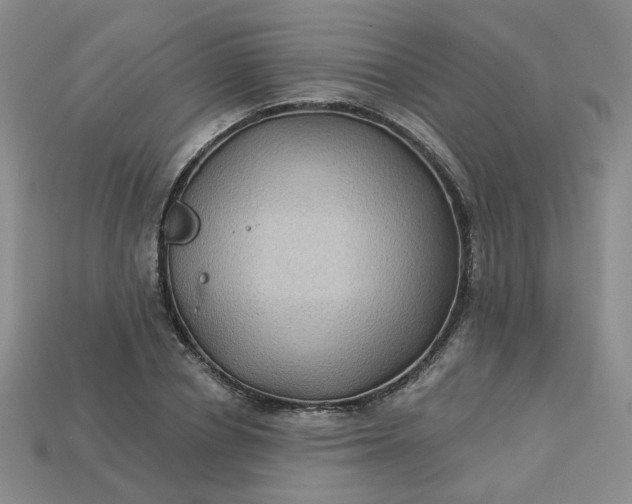 X0000113270834200910011426