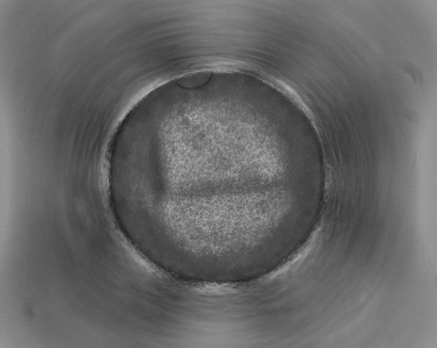 X0000113270835200910011426