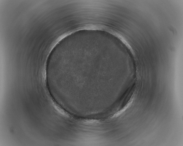 X0000113270837200910011426