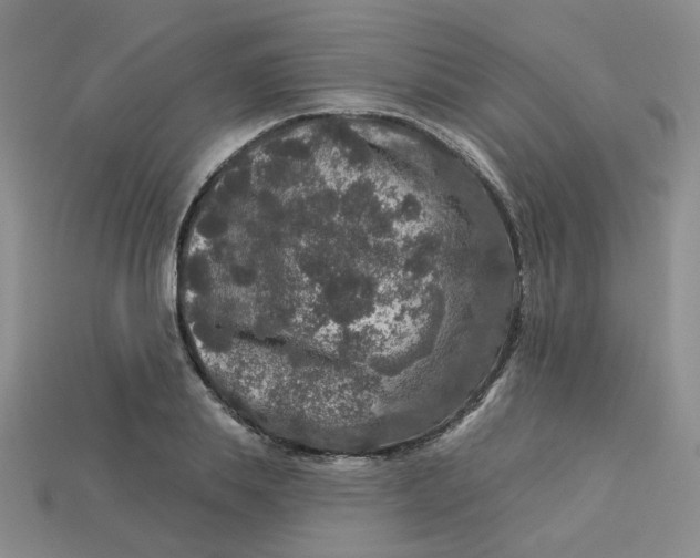 X0000113270839200910011426