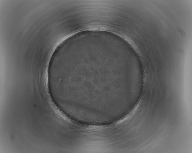 X0000113270840200910011426