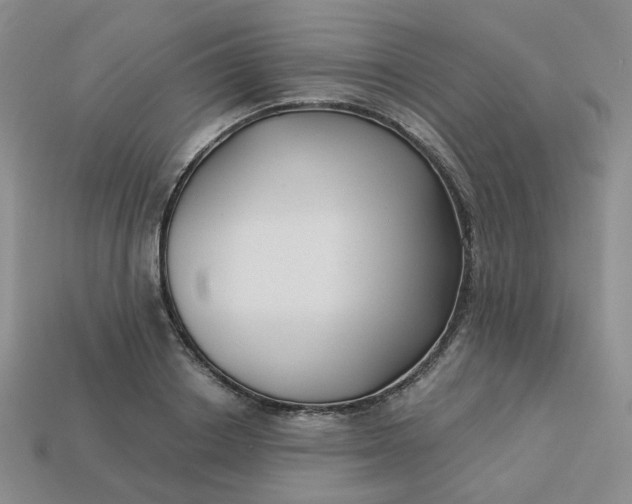 X0000113270842200910011426