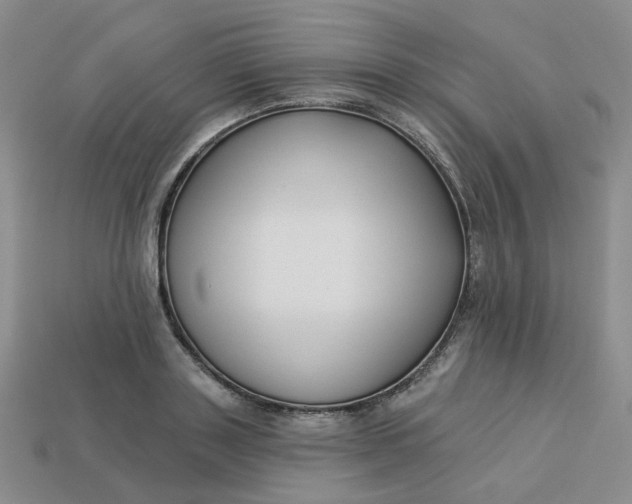 X0000113270843200910011426