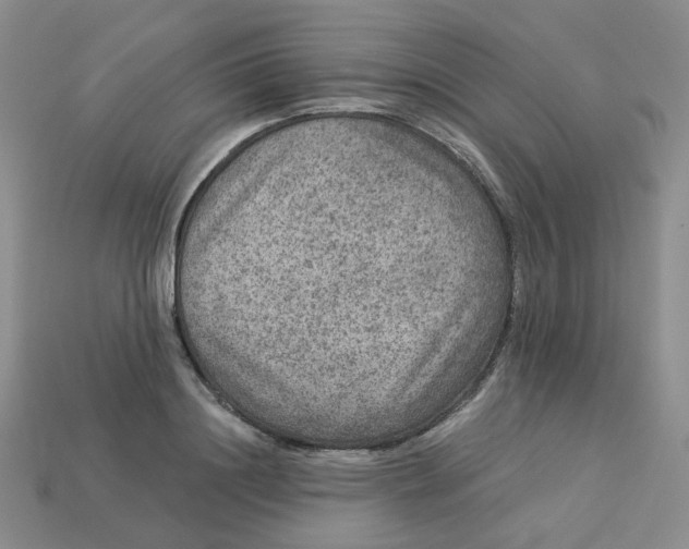 X0000113270844200910011426