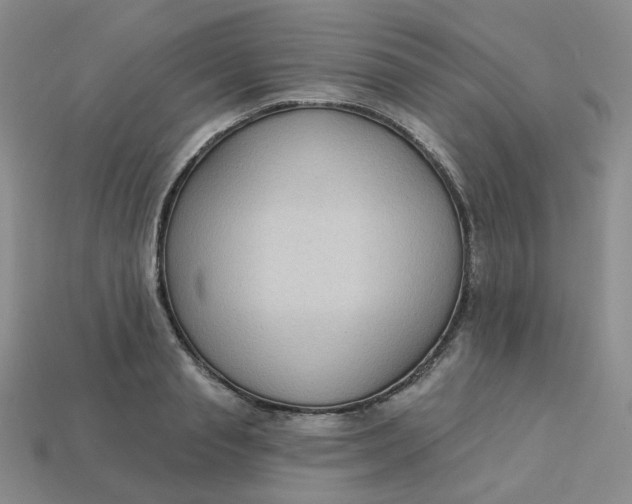 X0000113270845200910011426