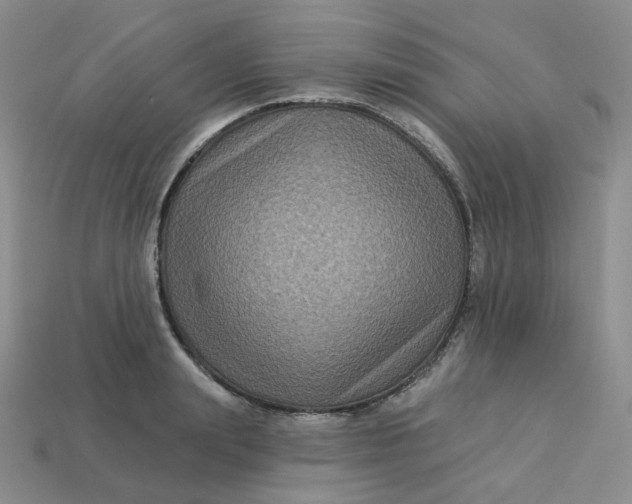 X0000113270847200910011426