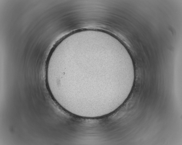 X0000113270848200910011426