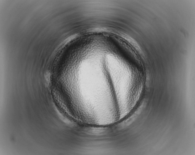 X0000113270849200910011426