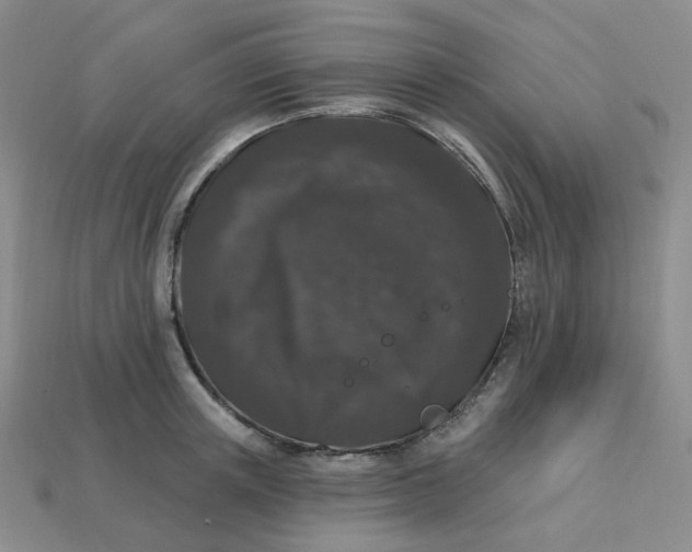 X0000113270851200910011426