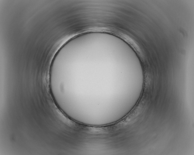 X0000113270852200910011426