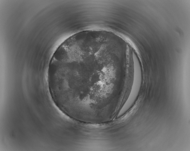 X0000113270855200910011426