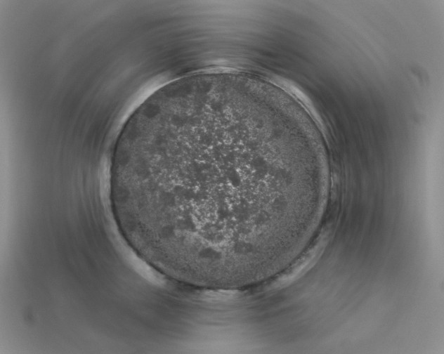 X0000113270859200910011426