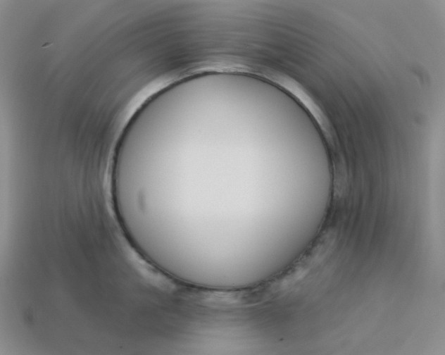 X0000113270861200910011426