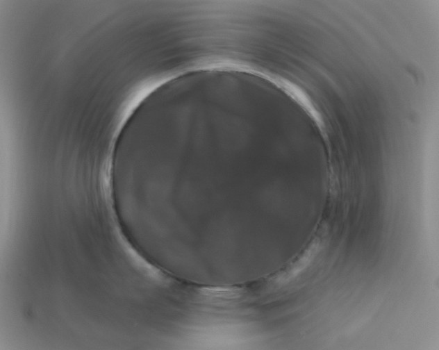 X0000113270863200910011426