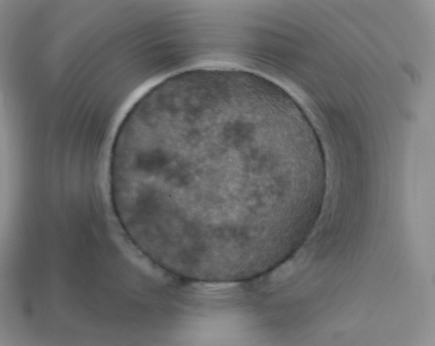 X0000113270864200910011426